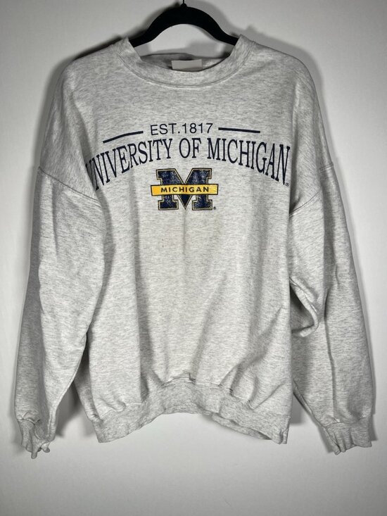 Hanes Other - Vintage 90s Ultimate Hanes Michigan Wolverines gray crewneck sweatshirt XL retro